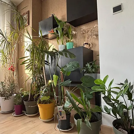 Bel Bourgeois 170 M2 Proche Gare Et Place Stanislas, Appartement *