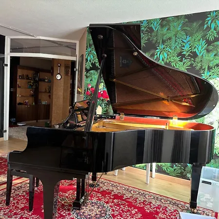 Apartament Bel Bourgeois 170 M2 Proche Gare Et Place Stanislas,