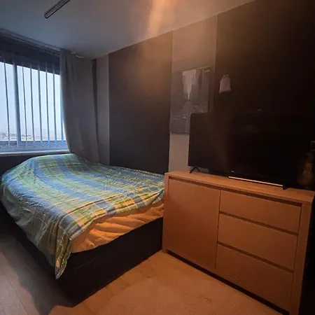 公寓 Bel Bourgeois 170 M2 Proche Gare Et Place Stanislas, 南锡