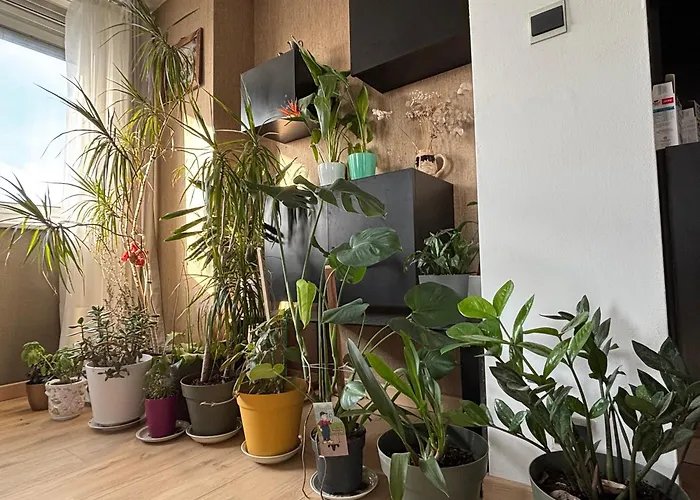 Bel Bourgeois 170 M2 Proche Gare Et Place Stanislas, Appartement *