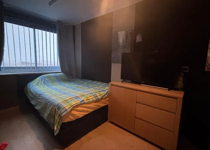 Appartement Bel Bourgeois 170 M2 Proche Gare Et Place Stanislas, Nancy