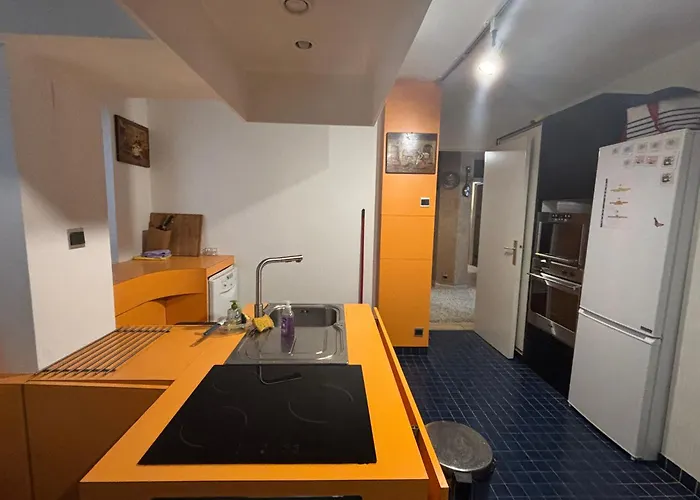 Bel Bourgeois 170 M2 Proche Gare Et Place Stanislas, Nancy