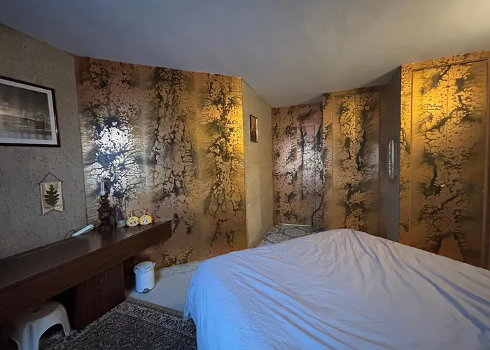 Bel Bourgeois 170 M2 Proche Gare Et Place Stanislas, Nancy