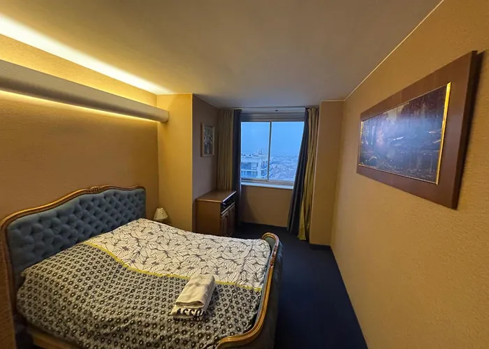 Daire Bel Bourgeois 170 M2 Proche Gare Et Place Stanislas, Nancy