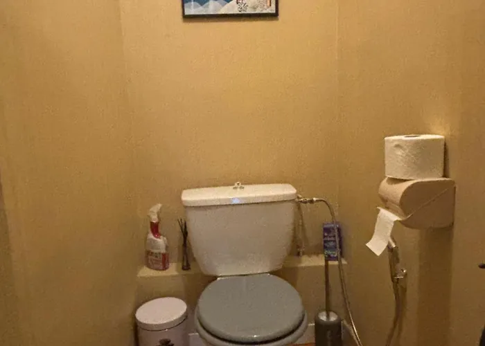 Daire Bel Bourgeois 170 M2 Proche Gare Et Place Stanislas, Nancy